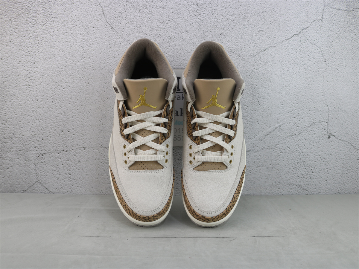 Air Jordan 3 Retro Palomino CT8532-102